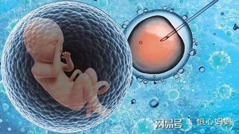 专家肖像